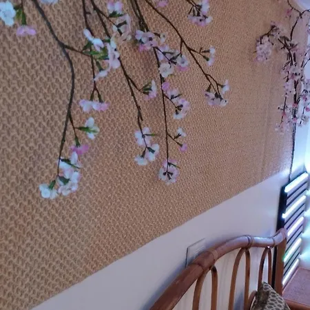 公寓 La Casa Di Nana Il Baglio